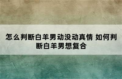 怎么判断白羊男动没动真情 如何判断白羊男想复合